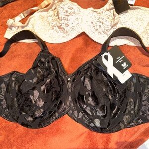 Wacoal Black Lace Underwire Bra Intimates